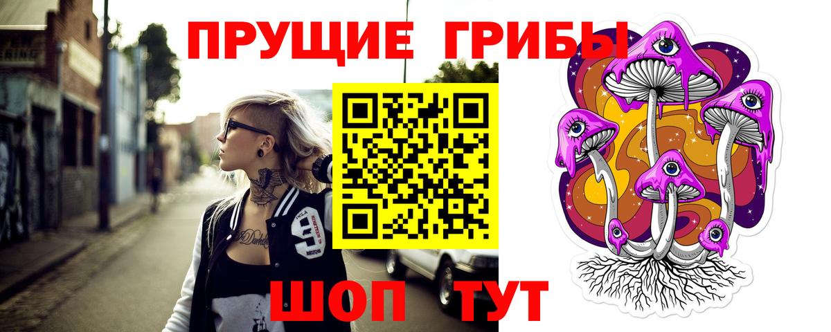 Псилоцибиновые грибы GOLDEN TEACHER Арсеньев