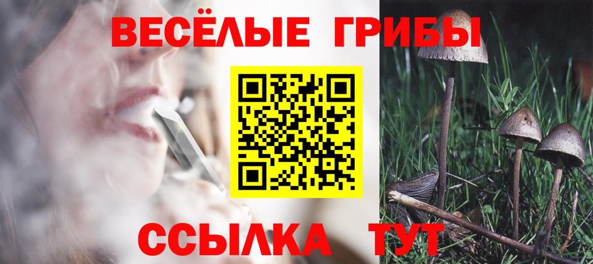 Арсеньев  Псилоцибиновые грибы GOLDEN TEACHER  Вход с VPN  Псилоцибиновые грибы прущие грибы 
